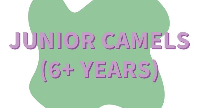 Junior Camels